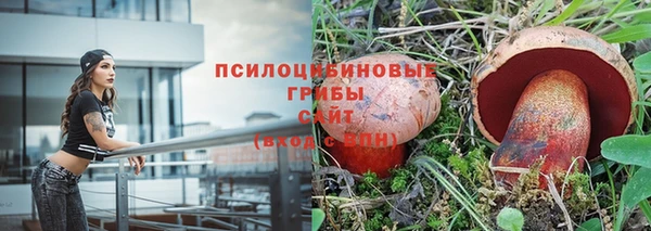 бутират Алексеевка